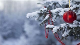 Tử vi thứ 4 ngày 29/11/2017 của 12 con giáp