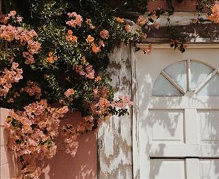 Tử vi thứ 7 ngày 2/12/2017 của 12 con giáp