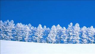 Tử vi thứ 6 ngày 1/12/2017 của 12 con giáp