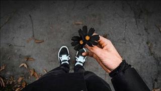 Xem bói tháng 12/2017 dương lịch: Top 4 con giáp số đen như mực