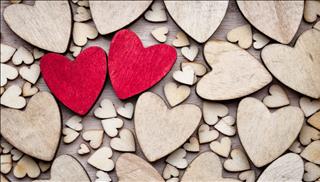 Xác định đào hoa vị để có phong thủy vượng đào hoa 2018