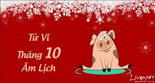 Tử vi tháng 10 âm lịch năm 2017 của người tuổi Hợi