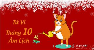 Tử vi tháng 10 âm lịch năm 2017 của người tuổi Mão