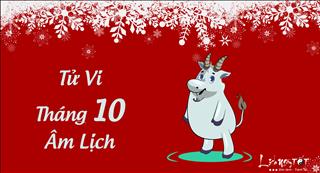 Tử vi tháng 10 âm lịch năm 2017 của người tuổi Mùi