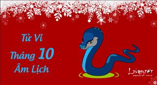 Tử vi tháng 10 âm lịch năm 2017 của người tuổi Tị
