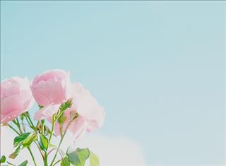 Tử vi tuần mới của 12 cung hoàng đạo (Tuần từ 20 - 26/11/2017)