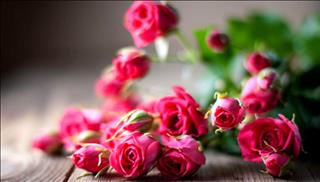 Tử vi thứ 7 ngày 2/12/2017 của 12 cung hoàng đạo