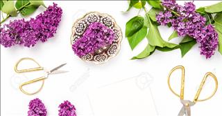 Tử vi Thứ 5 ngày 16/11/2017 của 12 con giáp