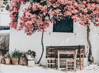 Tử vi thứ 7 ngày 25/11/2017 của 12 con giáp