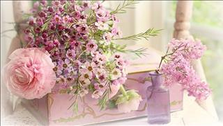 Tử vi thứ 7 ngày 23/12/2017 của 12 cung hoàng đạo