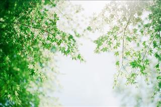 Xem ngày tốt xấu 2018 - Tháng 7 âm lịch năm Mậu Tuất