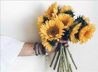 Tử vi Thứ 5 ngày 28/12/2017 của 12 con giáp