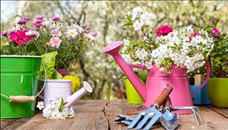 Tử vi thứ 5 ngày 28/12/2017 của 12 cung hoàng đạo