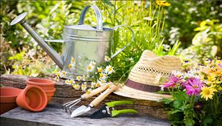 Tử vi thứ 7 ngày 30/12/2017 của 12 cung hoàng đạo