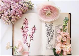 DỪNG lại những điều này sẽ thấy may mắn ghé thăm!