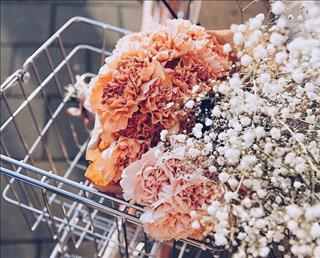 Tử vi thứ 7 ngày 6/1/2018 của 12 con giáp