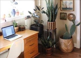 Tử vi Thứ 2 ngày 25/12/2017 của 12 cung hoàng đạo