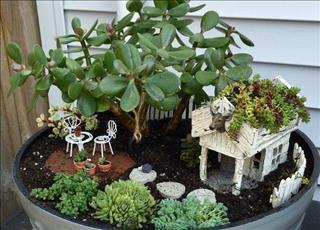 Người tuổi Mùi trồng cây gì cho hợp mệnh?