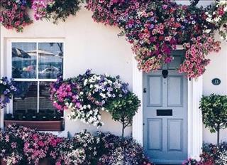 Tử vi Thứ 5 ngày 14/12/2017 của 12 con giáp