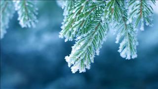 Tử vi thứ 2 ngày 11/12/2017 của 12 con giáp