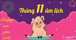 Tử vi tháng 11 năm 2017 âm lịch của người tuổi Hợi