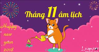 Tử vi tháng 11 năm 2017 âm lịch của người tuổi Mão