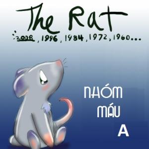 Tuổi Tý nhóm máu A: Tâm hồn thanh cao, coi trọng hạnh phúc