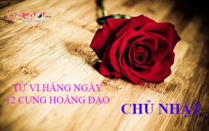 Tử vi Chủ Nhật ngày 19/2/2017 của 12 cung hoàng đạo