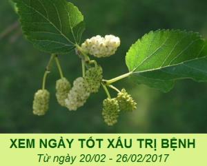 Xem ngày tốt xấu trị bách bệnh tiêu tan: Tuần từ 20/2 - 26/2/2017 (Phần 2)