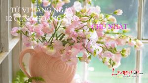 Tử vi Chủ Nhật ngày 26/2/2017 của 12 cung hoàng đạo