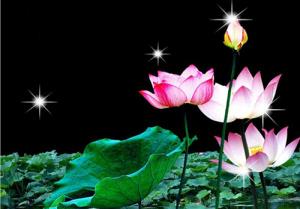 Dược Vương bồ Tát đản sinh - trị bách bệnh của thân và tâm