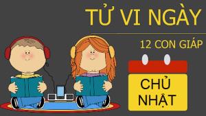 Tử vi Chủ Nhật ngày 12/2/2017 của 12 con giáp