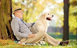 Chuyện lạ khó tin nhưng có thật: Người chuyển kiếp thành... chó