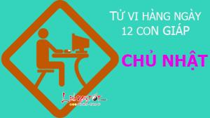 Tử vi Chủ Nhật ngày 19/3/2017 của 12 con giáp