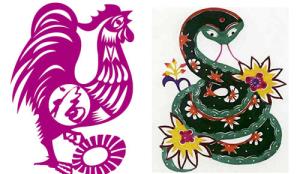 Xem ngay tuổi gà hợp với tuổi gì để chọn bạn đời, đối tác làm ăn