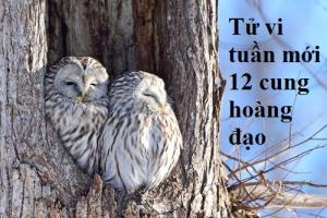 Tử vi tuần mới của 12 cung hoàng đạo (13-19/3/2017)