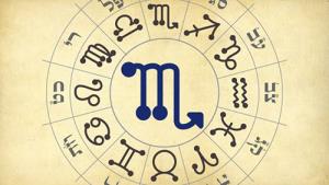 Bí mật hoàng đạo: Vận mệnh Hổ Cáp nhóm máu O