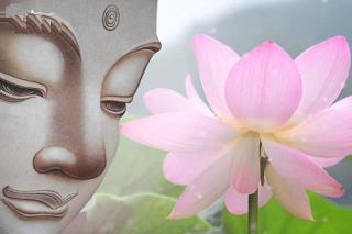 Vì sao Đức Phật, Bồ Tát ngồi trên hoa sen mà không phải loài hoa khác?