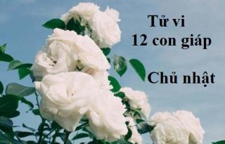 Tử vi Chủ Nhật ngày 30/4/2017 của 12 con giáp