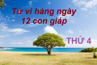 Tử vi thứ 4 ngày 3/5/2017 của 12 con giáp