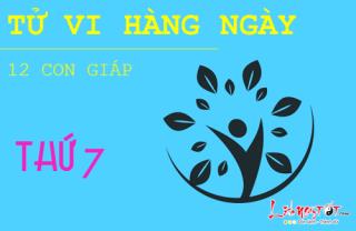 Tử vi thứ 7 ngày 27/5/2017 của 12 con giáp