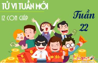Tử vi tuần mới từ 29/5-4/6/2017 của 12 con giáp