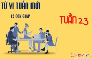 Tử vi tuần mới từ 5 - 11/6/2017 của 12 con giáp