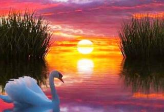 Tử vi Chủ nhật 4/6/2017 của 12 con giáp