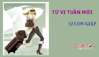 Tử vi tuần mới từ 8 - 14/5/2017 của 12 con giáp