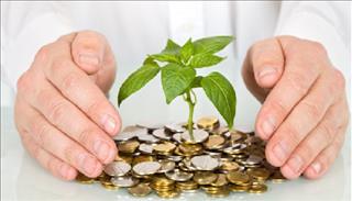 Top 3 con giáp hè này tiền đổ về ào ào như mưa rào mùa hạ