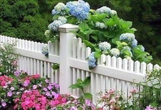 Tử vi Thứ 5 ngày 29/6/2017 của 12 con giáp