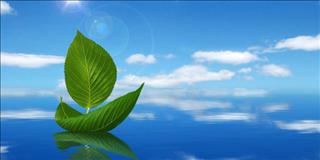 Tử vi thứ 5 ngày 6/7/2017 của 12 con giáp