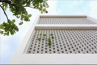 Nam tuổi Tý hợp hướng nào? Nên làm nhà hướng nào?