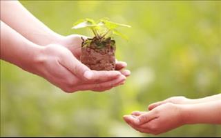 Tử vi thứ 4 ngày 28/6/2017 của 12 con giáp